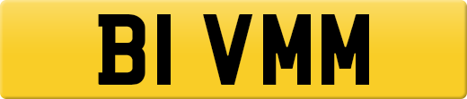 B1VMM