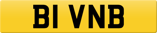 B1VNB
