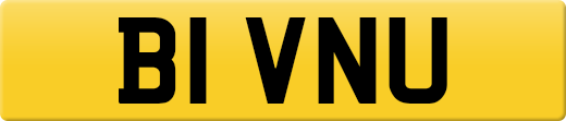 B1VNU