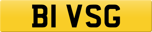 B1VSG