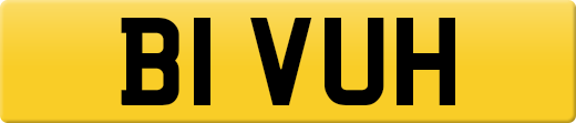 B1VUH
