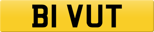 B1VUT