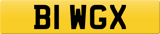 B1WGX
