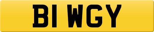 B1WGY