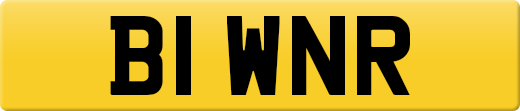 B1WNR