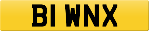 B1WNX