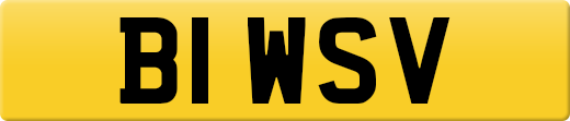 B1WSV