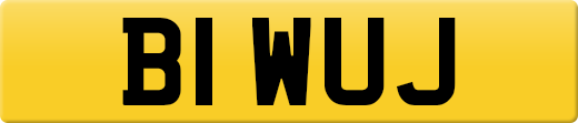 B1WUJ