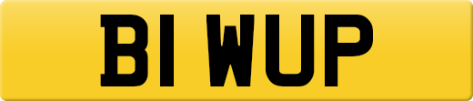 B1WUP