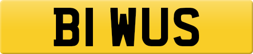 B1WUS