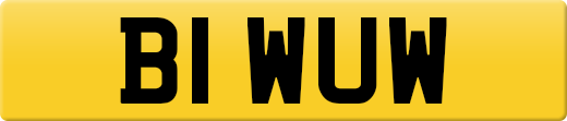 B1WUW