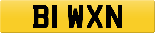 B1WXN