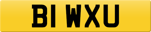 B1WXU