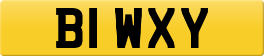 B1WXY