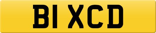 B1XCD