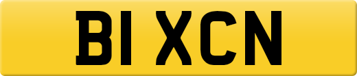 B1XCN