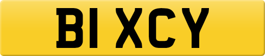 B1XCY