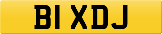 B1XDJ