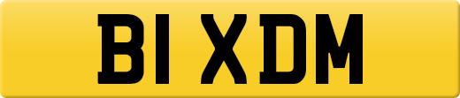 B1XDM