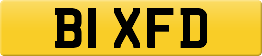 B1XFD