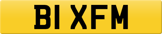 B1XFM