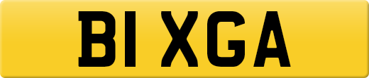 B1XGA