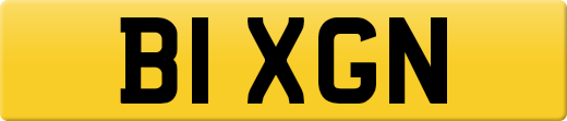 B1XGN