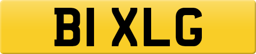 B1XLG