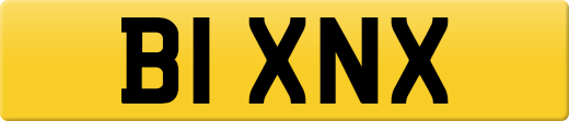 B1XNX