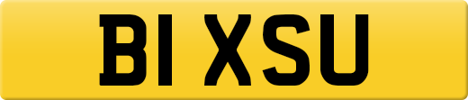 B1XSU