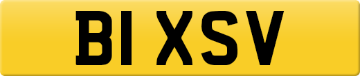 B1XSV