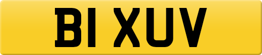 B1XUV