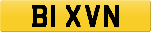 B1XVN