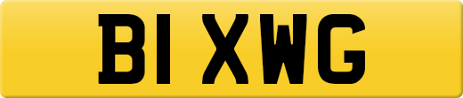 B1XWG