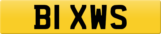 B1XWS