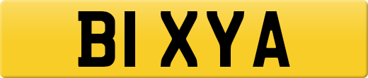 B1XYA