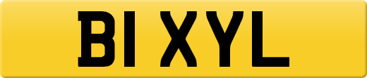 B1XYL