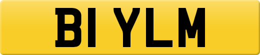 B1YLM