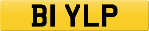 B1YLP