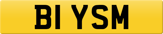 B1YSM