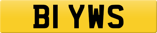 B1YWS