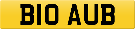 B10AUB
