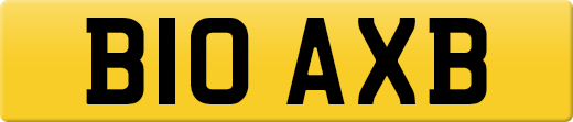B10AXB