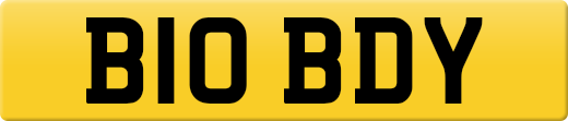 B10BDY