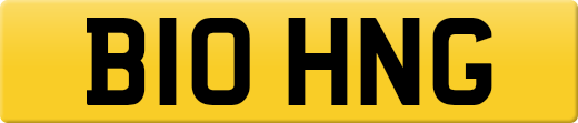 B10HNG