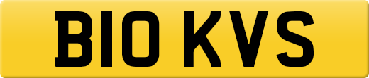 B10KVS