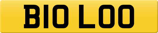 B10LOO