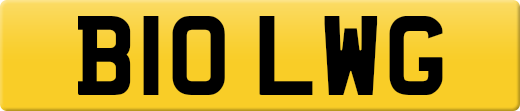 B10LWG