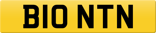 B10NTN
