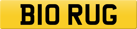 B10RUG